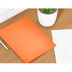 SUBCARPETA LIDERPAPEL A4 NARANJA INTENSO 180G/M2 SC16 29028 SUBCARPETA LIDERPAPEL A4 NARANJA INTENSO 180G/M2 SC16 29028