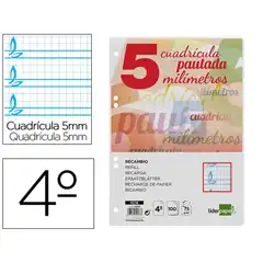 RECAMBIO LIDERPAPEL CUARTO PAUTAGUIA 100 HJ 75 G CUADRICULADO PAUTADO 5 MM CON MARGEN 6 TALADROS RC18 54537