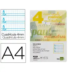 RECAMBIO LIDERPAPEL A4 PAUTAGUIA 100 HJ 75 G CUADRICULADO PAUTADO 4 MM CON MARGEN 4 TALADROS RF24 58600