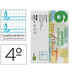 RECAMBIO LIDERPAPEL CUARTO APAISADO PAUTAGUIA 100 HJ 75 G CUADRICULADO PAUTADO 6 MM CON MARGEN 2 TALADROS RC21 59483