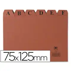 Material INDICE FICHERO CARTON Nº 2 TAMAÑO 75X125 3818