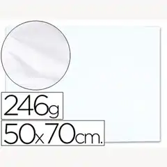 PAPEL SECANTE 50X70 BLANCO -246 GR 5741