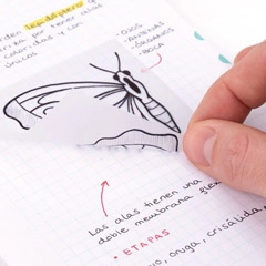 NOTAS ADHESIVAS 76X76MM TRANSPARENTE 50HJ MILAN (411260050) NOTAS ADHESIVAS 76X76MM TRANSPARENTE 50HJ MILAN (411260050)