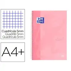 EBK1 OXFTCH A4+ 80H 5X5 CR TE FLAMI PAST 400117272