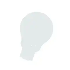 SKIN SHAPE 