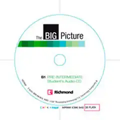 BIG PICTURE 2 WORKBOOK PRE-INTERMEDIATE [B1] RICHMOND SANTILLANA 9788466810593