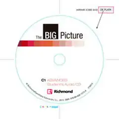 BIG PICTURE 5 WORKBOOK+CD ADVANCED [C1] RICHMOND SANTILLANA 9788466815734
