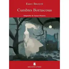 CUMBRES BORRASCOSAS (B.T) TEIDE 9788430761524