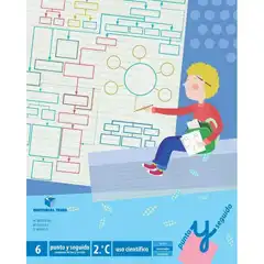 PUNTO Y SEGUIDO CUADERNO 6  2C TEIDE 9788430780266