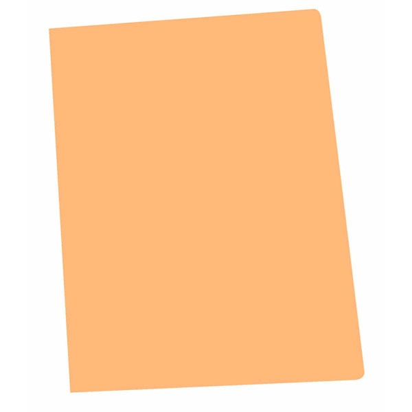 SUBCARPETA GIO FOLIO NARANJA (400040610) 59404 SUBCARPETA GIO FOLIO NARANJA (400040610) 59404