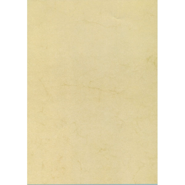 PAPEL TEXTURA HABANA 200G 10H A4 APLI T11960 PAPEL TEXTURA HABANA 200G 10H A4 APLI T11960