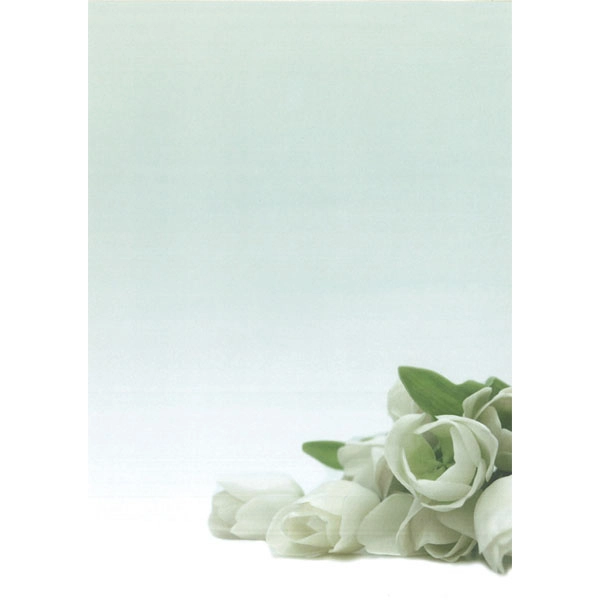 PAPEL TEMATICO FLOR BLANCA 90GRS 20HJ A4 APLI (12126) PAPEL TEMATICO FLOR BLANCA 90GRS 20HJ A4 APLI (12126)