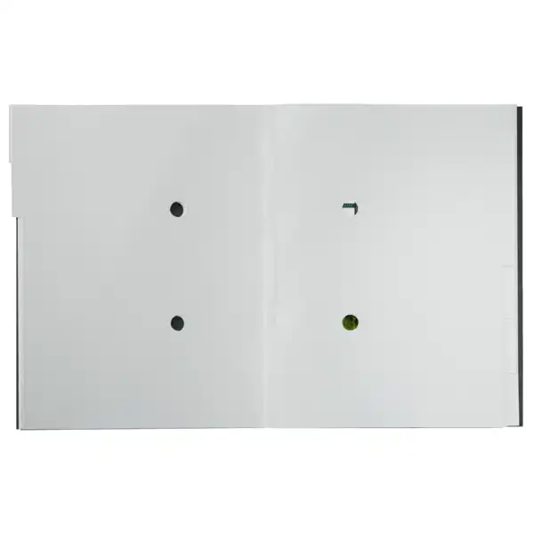 CLASIFICADOR LEITZ RECYCLE 6 PESTAÑAS CARTON 100% RECICLABLE A4 NEGRO (39140095) CLASIFICADOR LEITZ RECYCLE 6 PESTAÑAS CARTON 100% RECICLABLE A4 NEGRO (39140095)