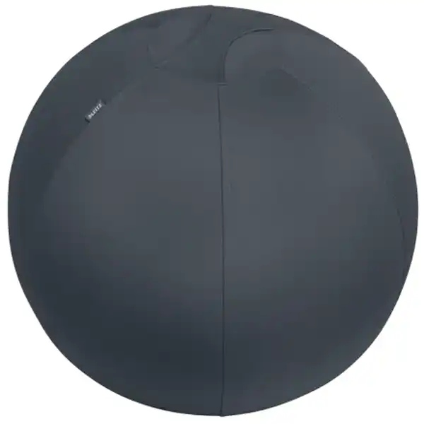 BALÓN DE ASIENTO ACTIVE DE 65 CM DE DIÁMETRO LEITZ ERGO COSY 52790089 BALÓN DE ASIENTO ACTIVE DE 65 CM DE DIÁMETRO LEITZ ERGO COSY 52790089