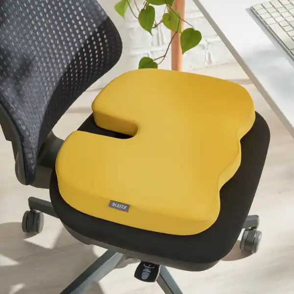 COJÍN DE ASIENTO ACTIVE LEITZ ERGO COSY 52840019 COJÍN DE ASIENTO ACTIVE LEITZ ERGO COSY 52840019