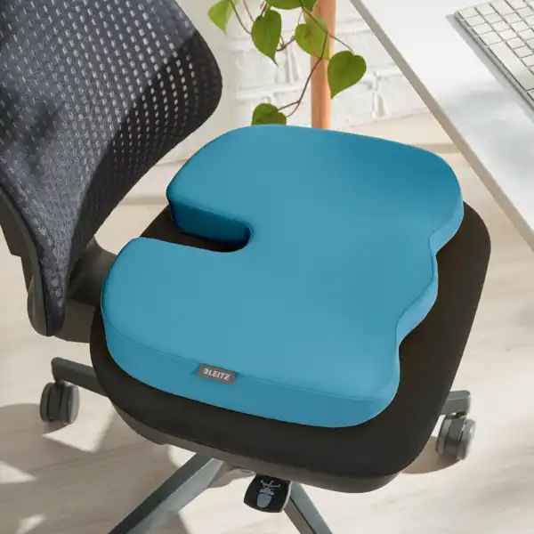 COJÍN DE ASIENTO ACTIVE LEITZ ERGO COSY 52840061 COJÍN DE ASIENTO ACTIVE LEITZ ERGO COSY 52840061
