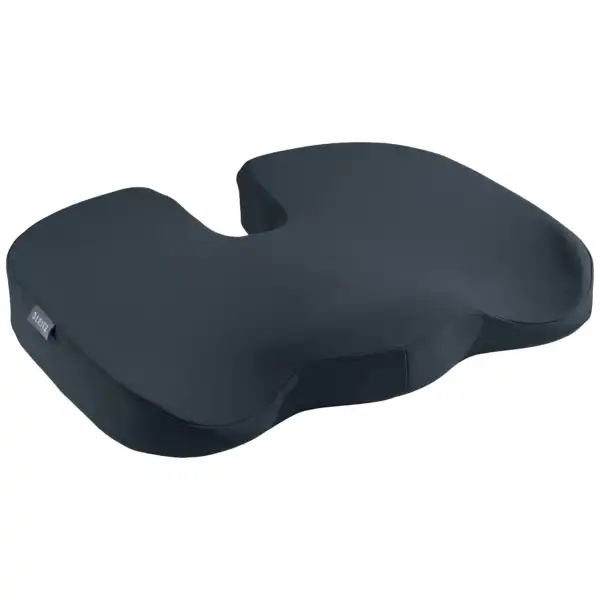 COJÍN DE ASIENTO ACTIVELEITZ ERGO COSY 52840089 COJÍN DE ASIENTO ACTIVELEITZ ERGO COSY 52840089