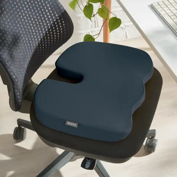 COJÍN DE ASIENTO ACTIVELEITZ ERGO COSY 52840089 COJÍN DE ASIENTO ACTIVELEITZ ERGO COSY 52840089