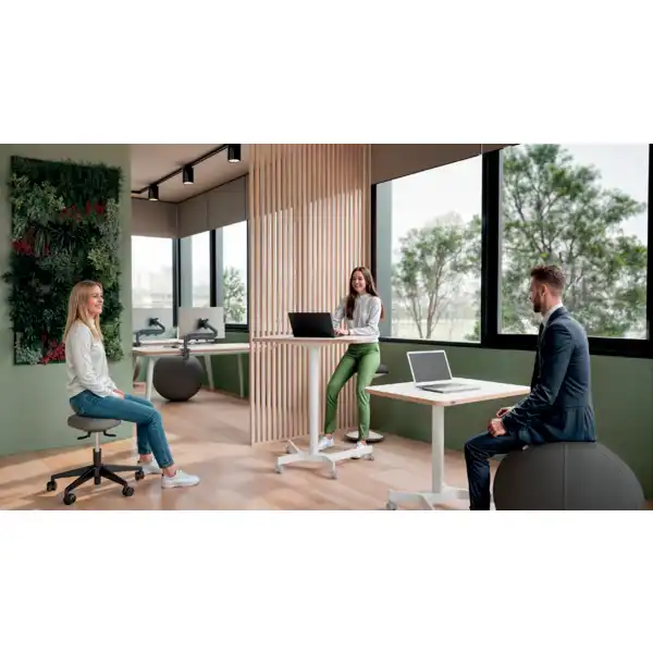 BRAZO PARA UN MONITOR LEITZ ERGO SPACESAVING 64890089 BRAZO PARA UN MONITOR LEITZ ERGO SPACESAVING 64890089