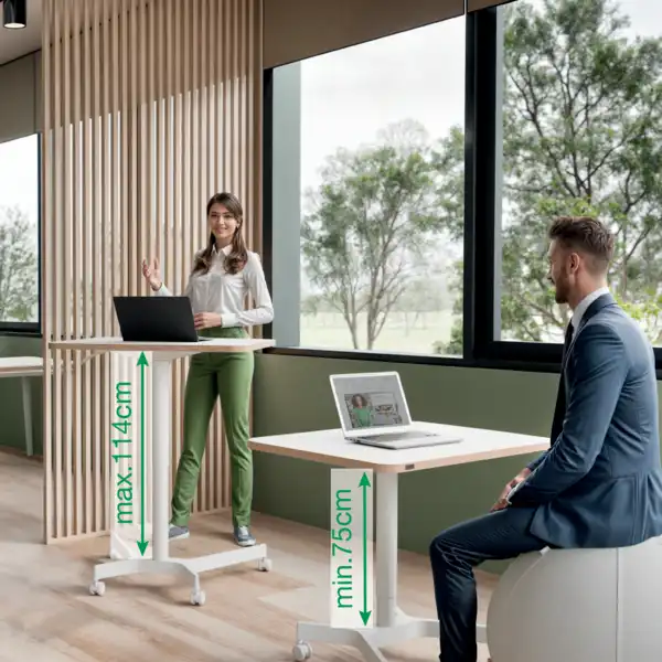 MESA ELEVABLE NEUMÁTICA PEQUEÑA LEITZ ERGO 65360001 MESA ELEVABLE NEUMÁTICA PEQUEÑA LEITZ ERGO 65360001