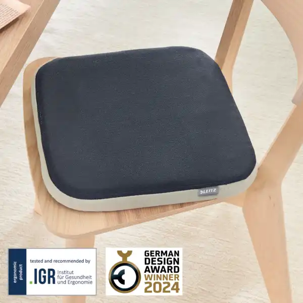 COJÍN DE ASIENTO ACTIVE LEITZ ERGO WOBBLE CON FUNDA DE TELA 65400089 COJÍN DE ASIENTO ACTIVE LEITZ ERGO WOBBLE CON FUNDA DE TELA 65400089