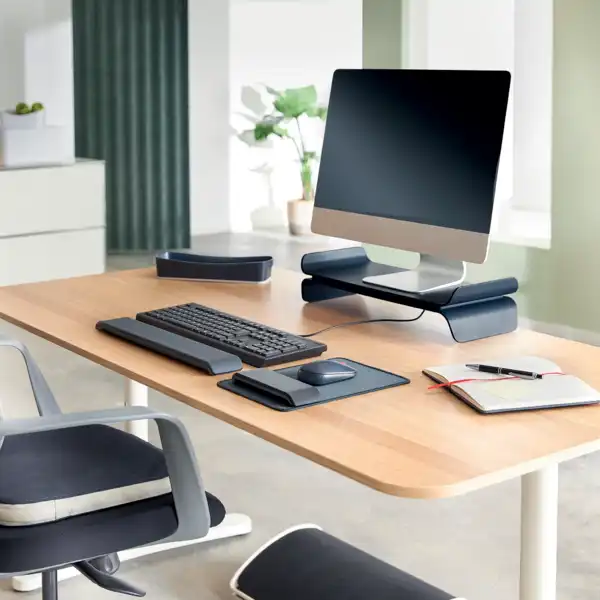 COJÍN DE ASIENTO ACTIVE LEITZ ERGO WOBBLE CON FUNDA DE TELA 65400089 COJÍN DE ASIENTO ACTIVE LEITZ ERGO WOBBLE CON FUNDA DE TELA 65400089
