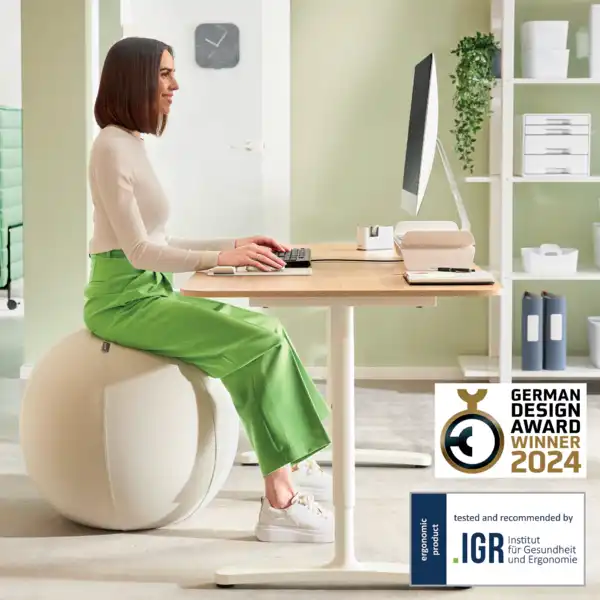 BALÓN DE ASIENTO ACTIVE DE 55CM ANTIDESLIZANTE LEITZ ERGO 65410085 BALÓN DE ASIENTO ACTIVE DE 55CM ANTIDESLIZANTE LEITZ ERGO 65410085