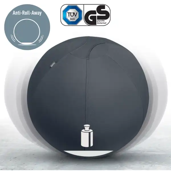 BALÓN DE ASIENTO ACTIVE DE 55CM ANTIDESLIZANTE LEITZ ERGO 65410089 BALÓN DE ASIENTO ACTIVE DE 55CM ANTIDESLIZANTE LEITZ ERGO 65410089