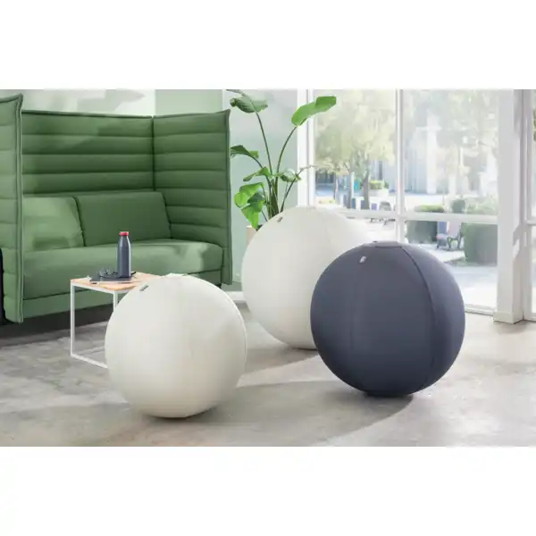 BALÓN DE ASIENTO ACTIVE DE 65CM ANTIDESLIZANTE LEITZ ERGO 65420089 BALÓN DE ASIENTO ACTIVE DE 65CM ANTIDESLIZANTE LEITZ ERGO 65420089