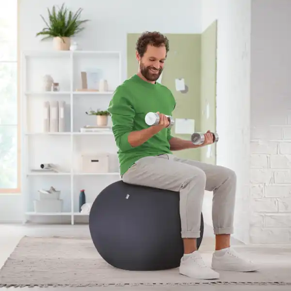 BALÓN DE ASIENTO ACTIVE DE 65CM ANTIDESLIZANTE LEITZ ERGO 65420089 BALÓN DE ASIENTO ACTIVE DE 65CM ANTIDESLIZANTE LEITZ ERGO 65420089