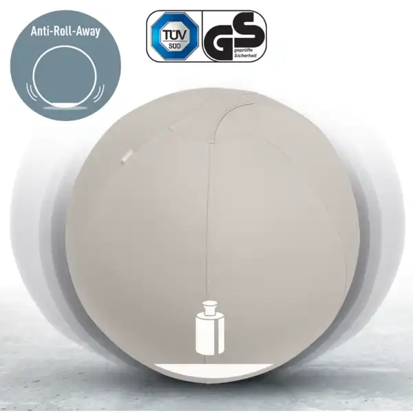BALÓN DE ASIENTO ACTIVE DE 75CM ANTIDESLIZANTE LEITZ ERGO 65430085 BALÓN DE ASIENTO ACTIVE DE 75CM ANTIDESLIZANTE LEITZ ERGO 65430085