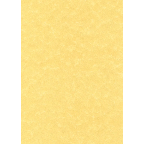 CAJA PAPEL TEXT.PERGAMINO ORO 95G.100H APLI REF. PCL1600 CAJA PAPEL TEXT.PERGAMINO ORO 95G.100H APLI REF. PCL1600