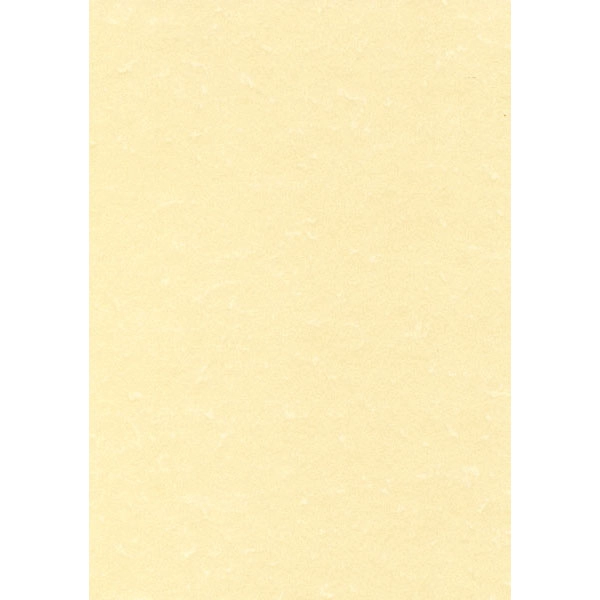 CAJA PAPEL TEXT.PERG CHAMPAN 95G.100H APLI REF. PCL1601 CAJA PAPEL TEXT.PERG CHAMPAN 95G.100H APLI REF. PCL1601