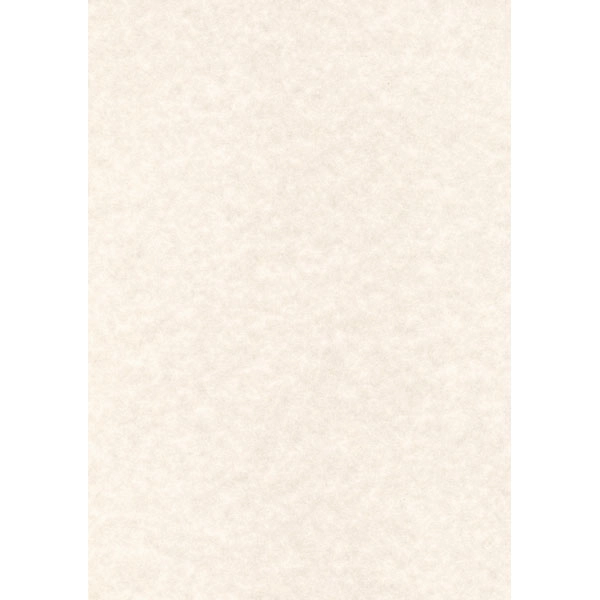 CAJA PAPEL TEXT.PERGAMINO GRIS 165G.50H APLI REF. PCL1678 CAJA PAPEL TEXT.PERGAMINO GRIS 165G.50H APLI REF. PCL1678