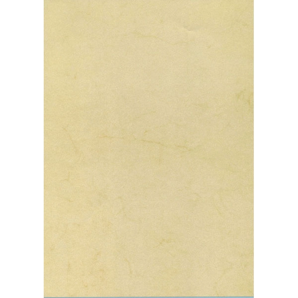 CAJA PAPEL TEXT.BUFALO HABAN 200G.50H APLI REF. PCR1844 CAJA PAPEL TEXT.BUFALO HABAN 200G.50H APLI REF. PCR1844