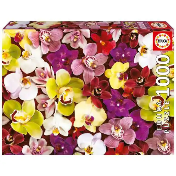 PUZZLE EDUCA 1000 PIEZAS COLLAGE ORQUIDEAS 8412668195585 PUZZLE EDUCA 1000 PIEZAS COLLAGE ORQUIDEAS 8412668195585