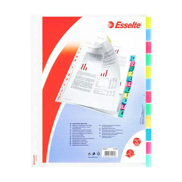 FUNDAS CON PESTAÑA ESSELTE PP A4 (414170) FUNDAS CON PESTAÑA ESSELTE PP A4 (414170)