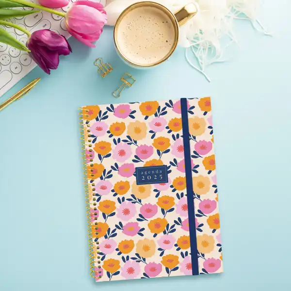 AGENDA ESPIRAL FINOCAM DESIGN COLLECTION SV HORIZONTAL E10 155X212 MM GALA 2025 CATALAN 742272925 AGENDA ESPIRAL FINOCAM DESIGN COLLECTION SV HORIZONTAL E10 155X212 MM GALA 2025 CATALAN 742272925