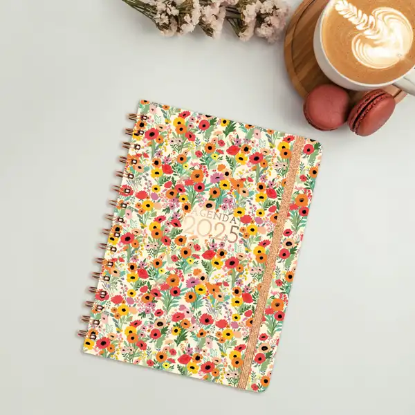 AGENDA FINOCAM YOU E10 SVH SPRING CATALAN 760052925 AGENDA FINOCAM YOU E10 SVH SPRING CATALAN 760052925