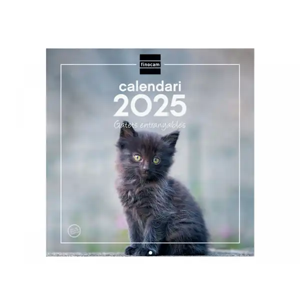 CALENDARIO PARED FINOCAM GATITOS 300X300MM CATALAN 780313825 CALENDARIO PARED FINOCAM GATITOS 300X300MM CATALAN 780313825