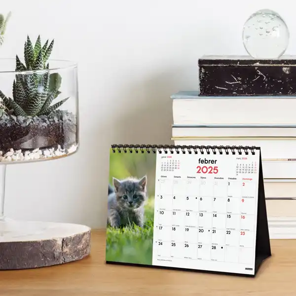 CALENDARIO SOBREMESA FINOCAM GATITOS 210X150 MM CATALAN 780333825 CALENDARIO SOBREMESA FINOCAM GATITOS 210X150 MM CATALAN 780333825