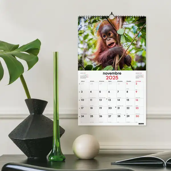 CALENDARIO PARED FINOCAM ESPIRAL FAUNA 250X400 MM CATALAN 780565025 CALENDARIO PARED FINOCAM ESPIRAL FAUNA 250X400 MM CATALAN 780565025