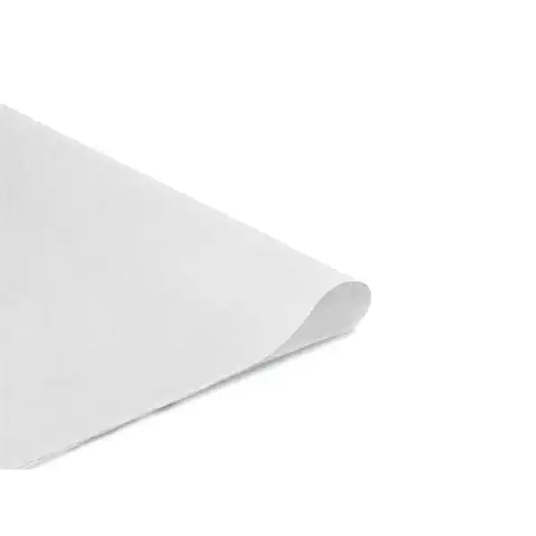 PAPEL MANILA 62X86 BLANCO PAQ. DE 25 HJ 05651 PAPEL MANILA 62X86 BLANCO PAQ. DE 25 HJ 05651