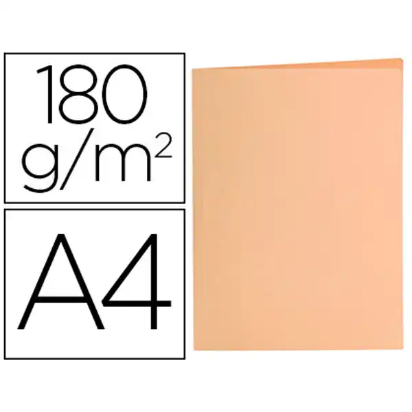 SUBCARPETA LIDERPAPEL A4 NARANJA PASTEL 180G/M2 SC30 10420 SUBCARPETA LIDERPAPEL A4 NARANJA PASTEL 180G/M2 SC30 10420