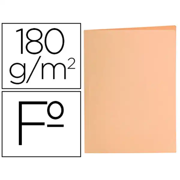SUBCARPETA LIDERPAPEL Fº NARANJA PASTEL 180G/M2 SC37 10429 SUBCARPETA LIDERPAPEL Fº NARANJA PASTEL 180G/M2 SC37 10429