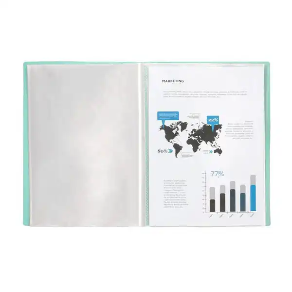 CARPETA LIDERPAPEL ESCAPARATE 10 FUNDAS PP A4 VERDE MANZANA OPACO EC65 10994 CARPETA LIDERPAPEL ESCAPARATE 10 FUNDAS PP A4 VERDE MANZANA OPACO EC65 10994