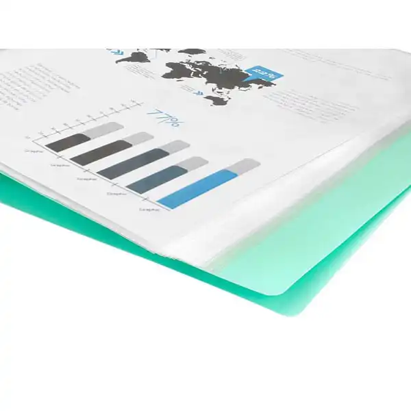 CARPETA LIDERPAPEL ESCAPARATE 10 FUNDAS PP A4 VERDE MANZANA OPACO EC65 10994 CARPETA LIDERPAPEL ESCAPARATE 10 FUNDAS PP A4 VERDE MANZANA OPACO EC65 10994