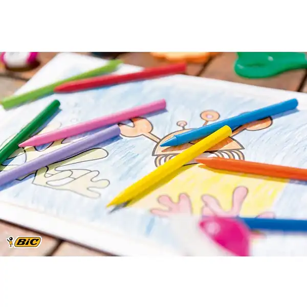 PLASTIDECOR ESTUCHE DE 12 UNIDADES BIC 11904 8757702 PLASTIDECOR ESTUCHE DE 12 UNIDADES BIC 11904 8757702