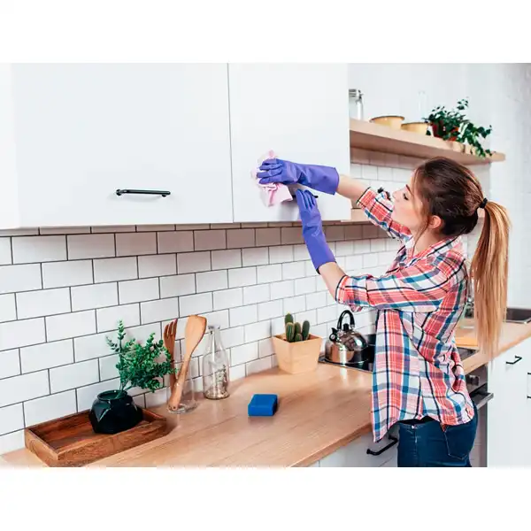 LIMPIADOR DESINFECTANTE PARA COCINA CON PISTOLA PULVERIZADORA 750 ML 160180 LIMPIADOR DESINFECTANTE PARA COCINA CON PISTOLA PULVERIZADORA 750 ML 160180