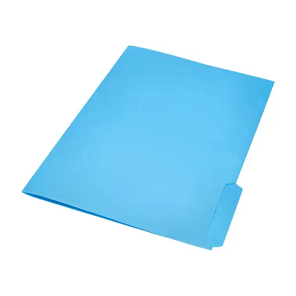 SUBCARPETA CARTULINA LIDERPAPEL Fº PESTAÑA INFERIOR 240G/M2 AZUL SC44 166334 SUBCARPETA CARTULINA LIDERPAPEL Fº PESTAÑA INFERIOR 240G/M2 AZUL SC44 166334